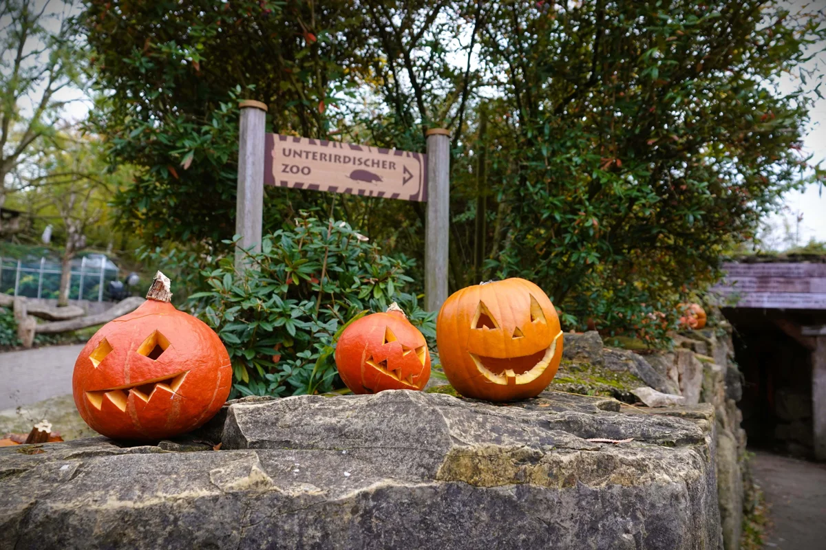 Halloween im Zoo