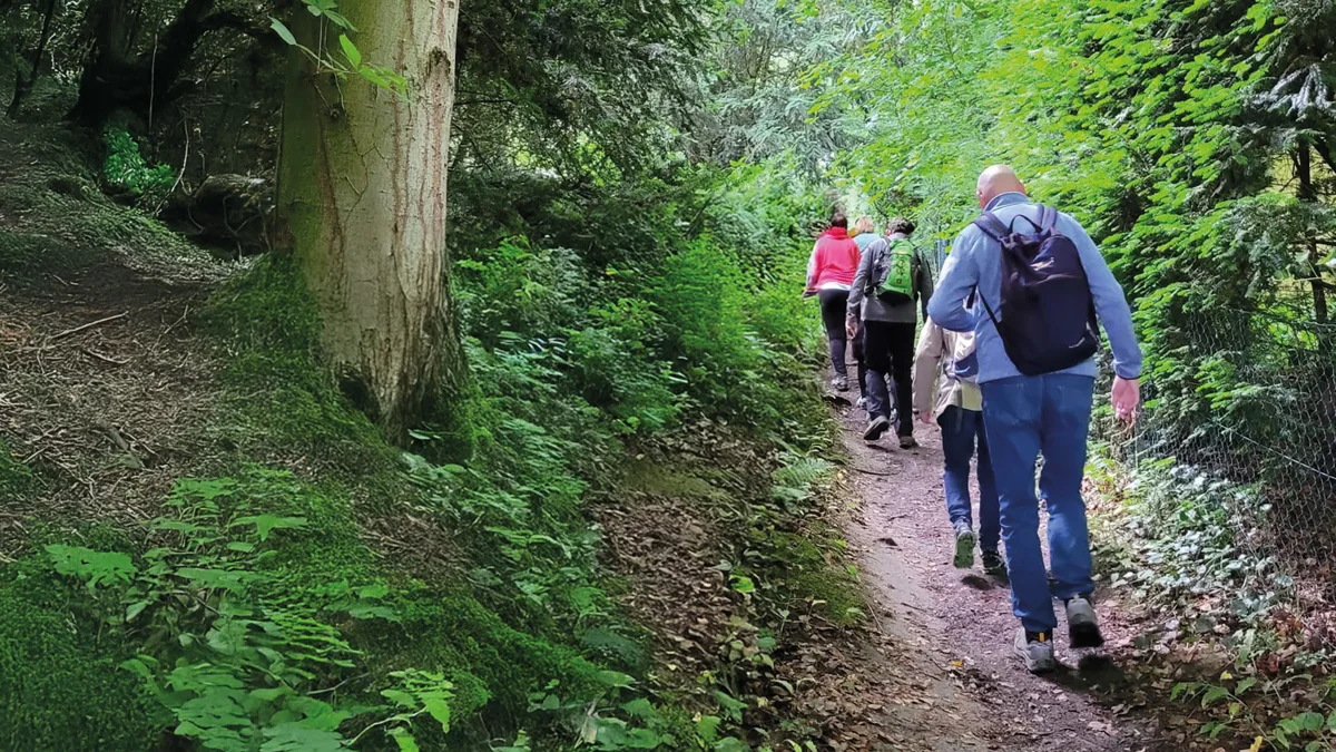 Veranstaltungen in Osnabrück und Umgebung am 18.10.2026 Gesundes und bewusstes Wandern