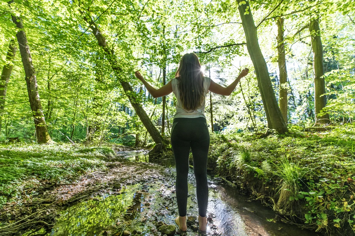Veranstaltungen in Osnabrück und Umgebung am 06.10.2026 Kneipp erleben: Intuitive Energiearbeit - eine geführte Meditation