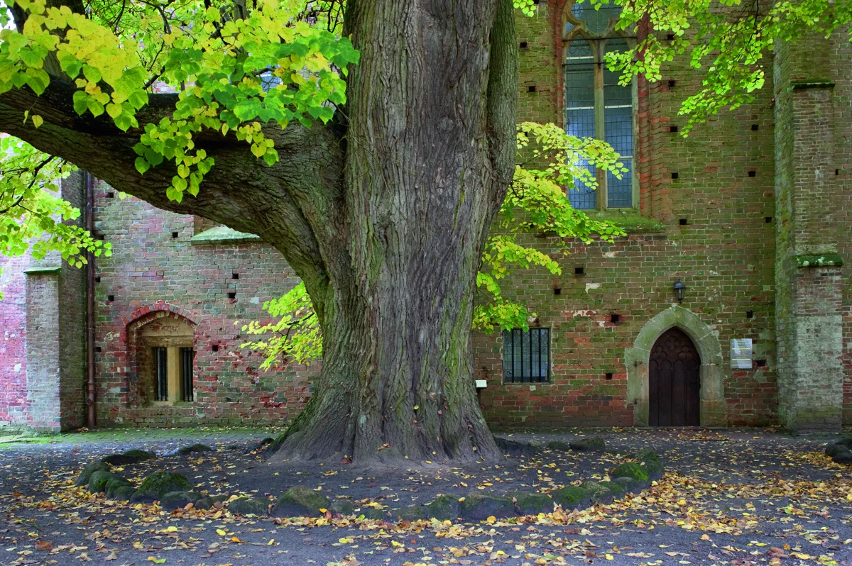 Bio-Regio-Markt im Stift Börstel