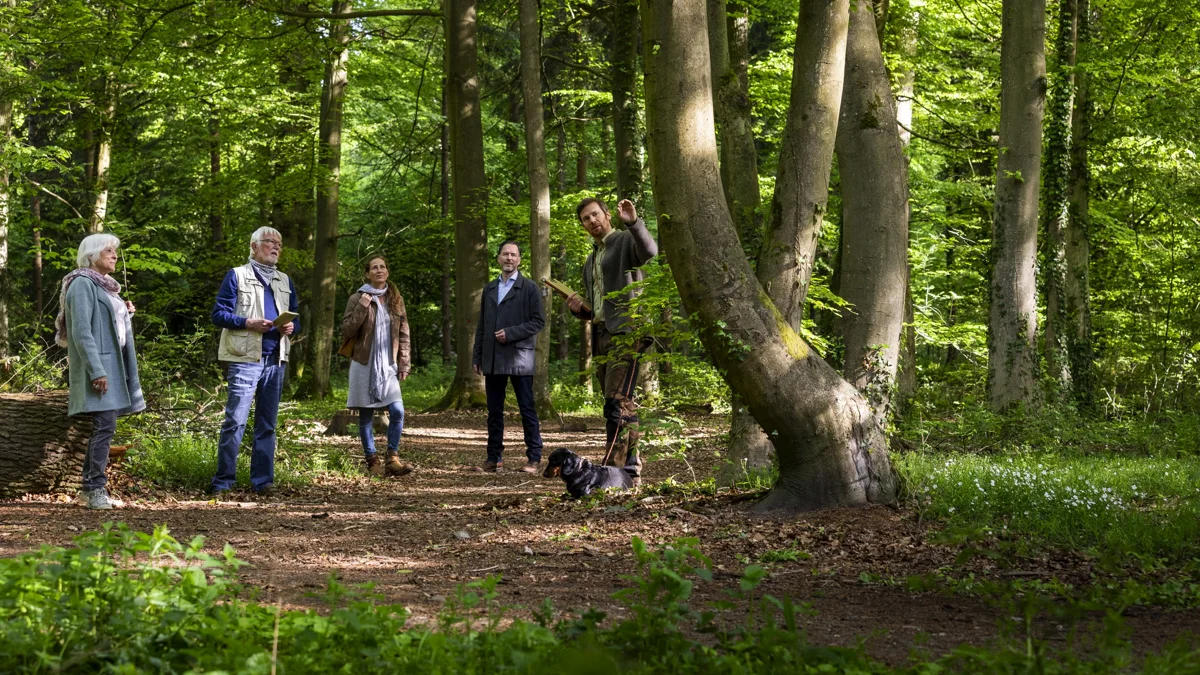 Veranstaltungen in Osnabrück und Umgebung am 19.09.2026 Waldführung im Friedwald Bramsche