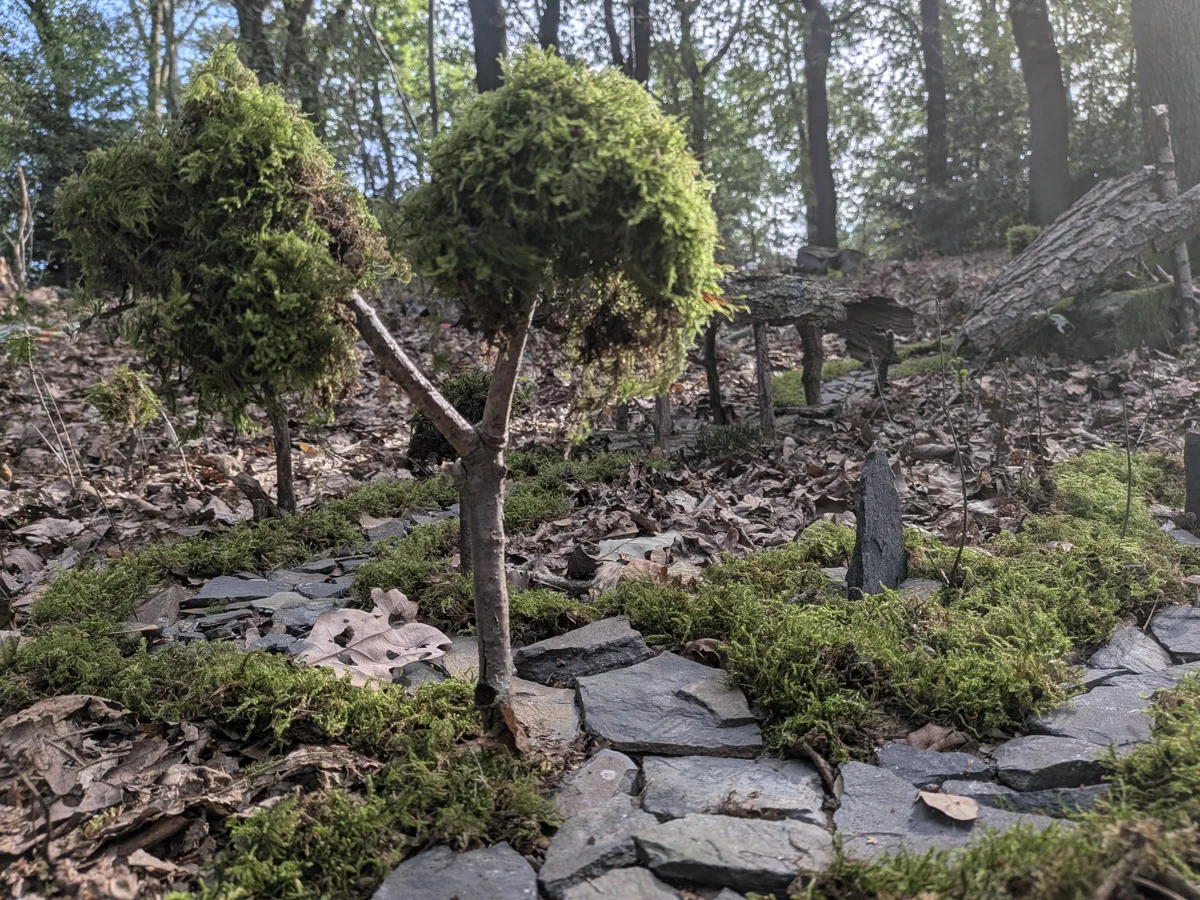 Life in the Woods