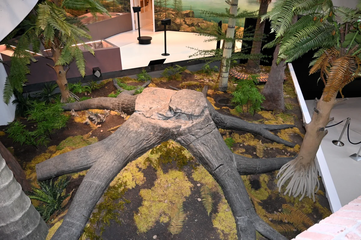 Freier Freitag im Museum am Schölerberg