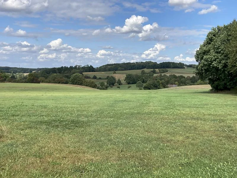 Veranstaltungen in Osnabrück und Umgebung am 18.10.2026 Meller Naturführungen - Waldexkursion mit "Weitblick"