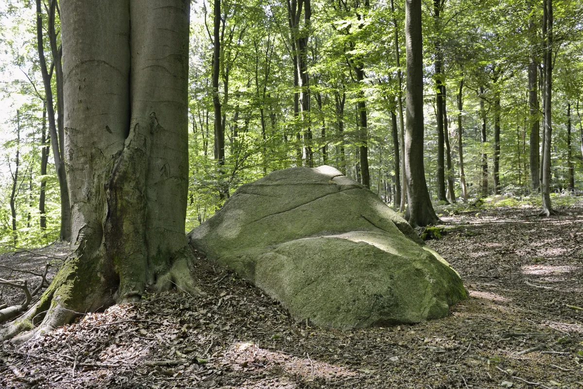 Steinernes Meer bei Belm